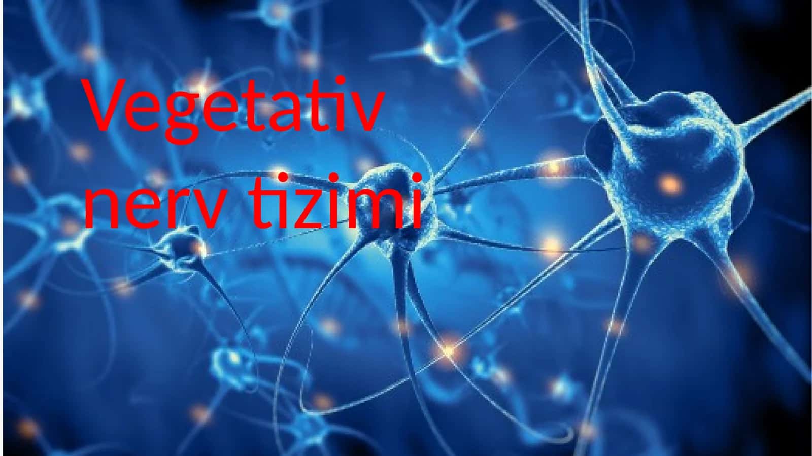 Vegetativ nerv tizimi 1