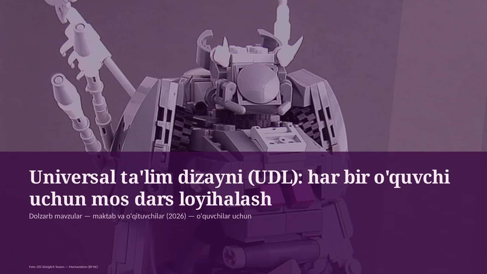 Universal ta'lim dizayni (UDL) 1