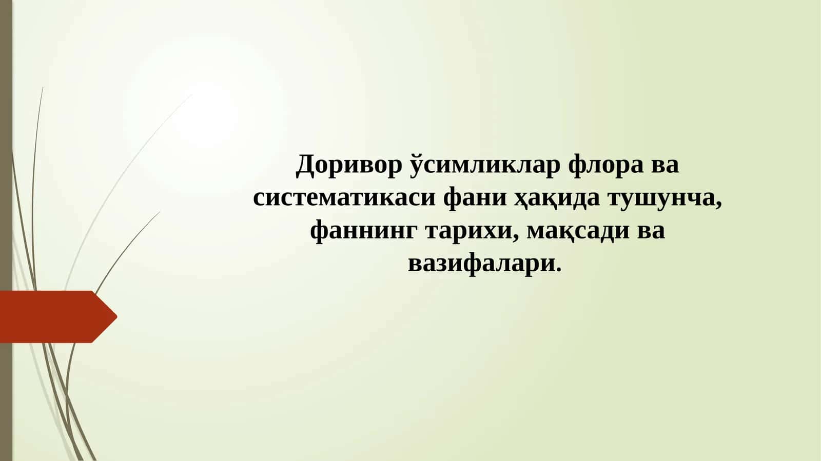 Доривор ўсимликлар флора ва систематикаси 1