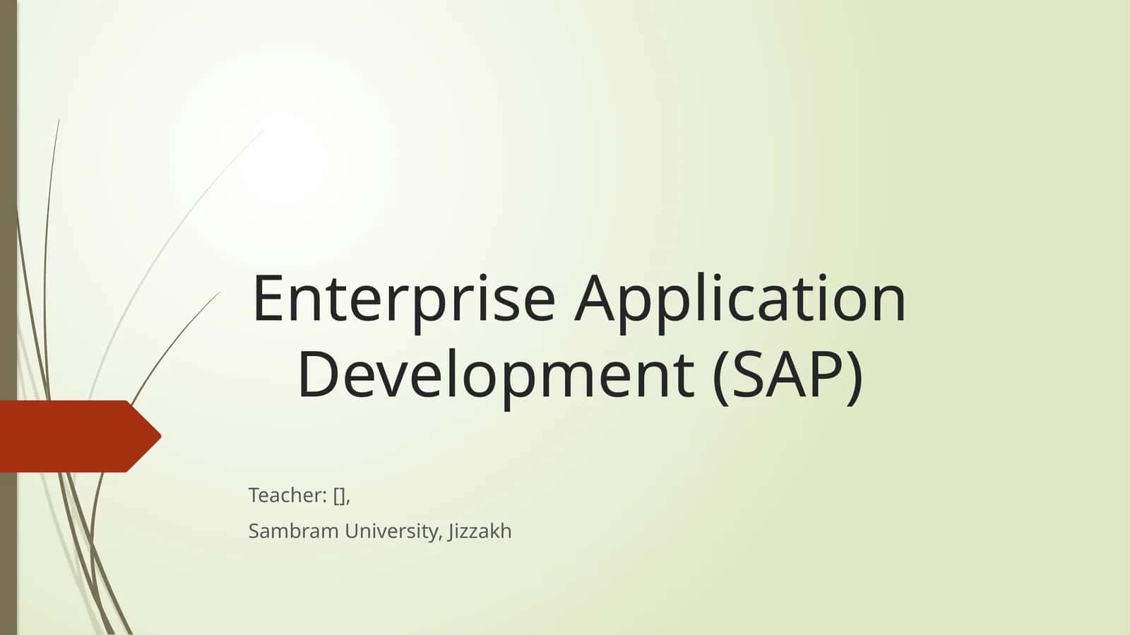 Enterprise Application Development (SAP) 1