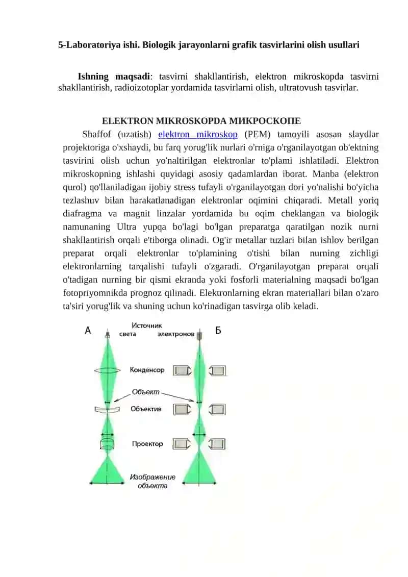Biologik jarayonlarni grafik tasvirlarini olish usullari