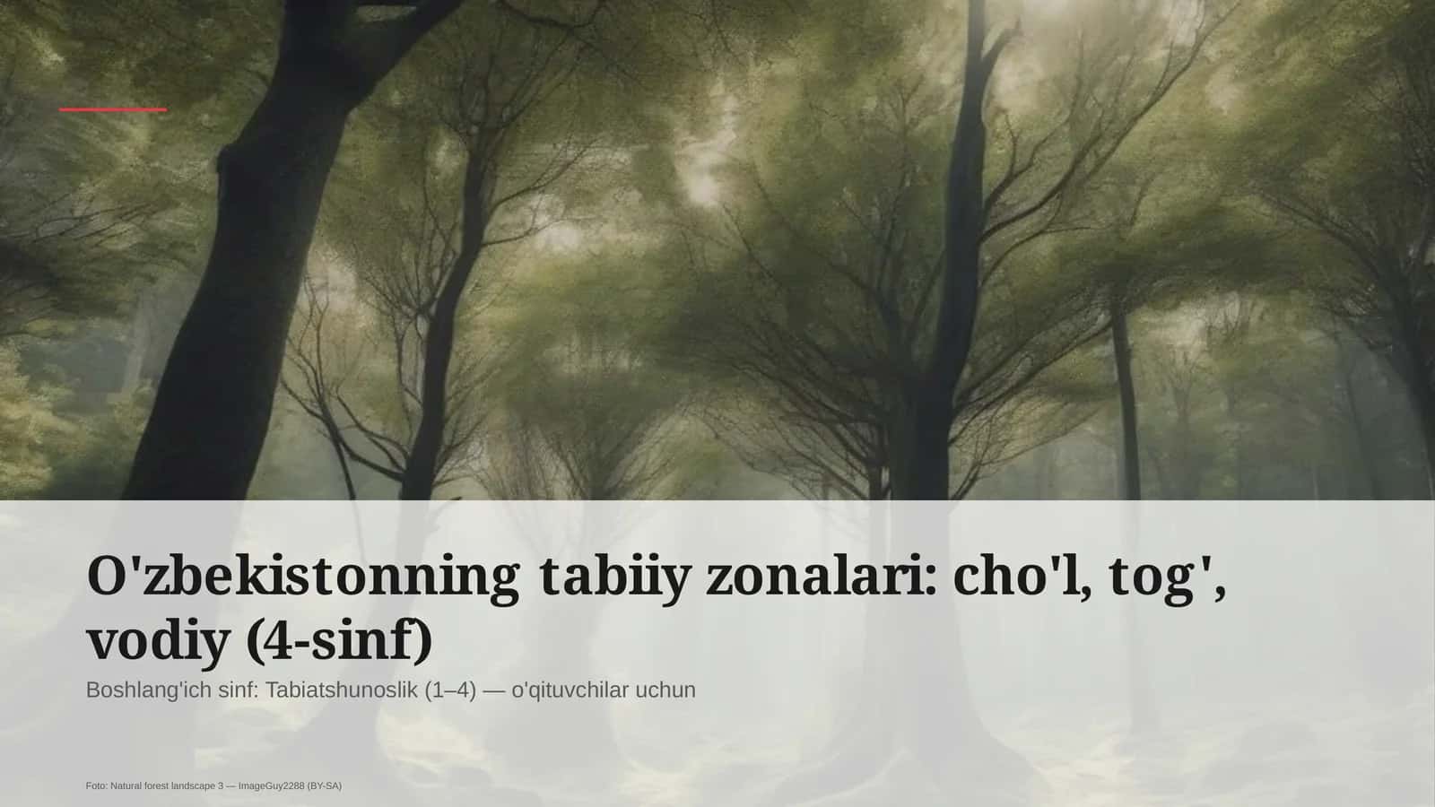 O'zbekistonning tabiiy zonalari: cho'l, tog', vodiy (4-sinf) 1