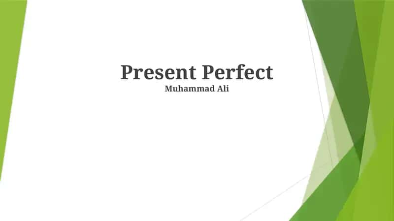 Present Perfect 1