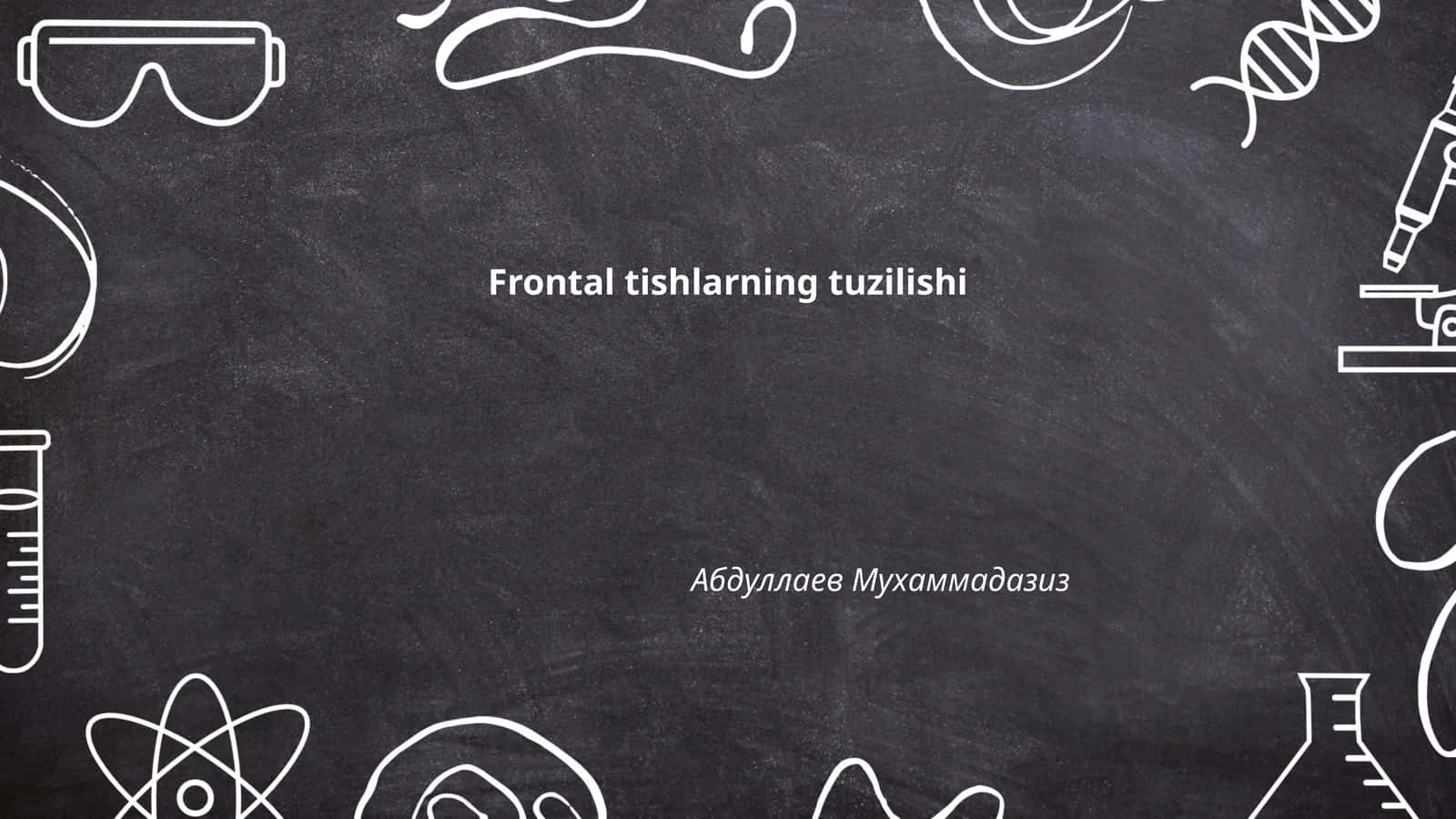 Frontal tishlarning tuzilishi 1