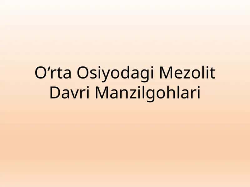 O‘rta Osiyodagi Mezolit Davri Manzilgohlari 1