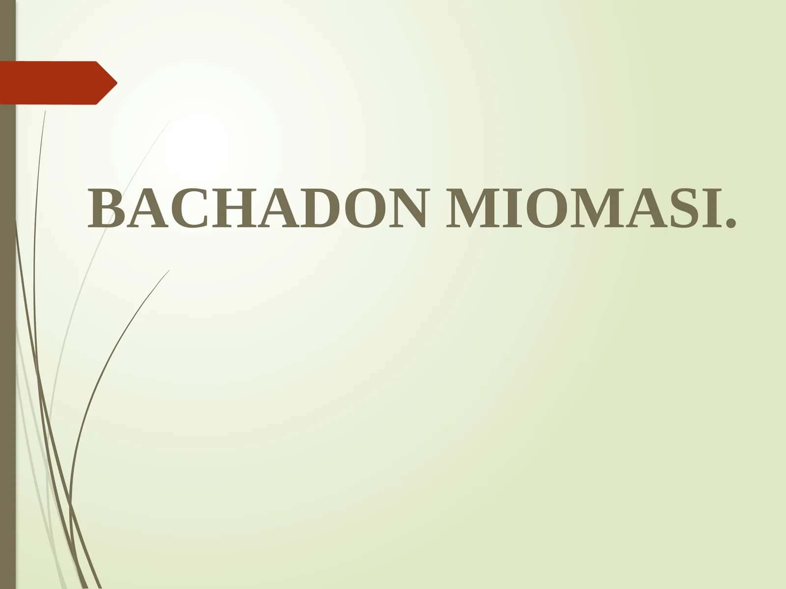 BACHADON MIOMASI 1