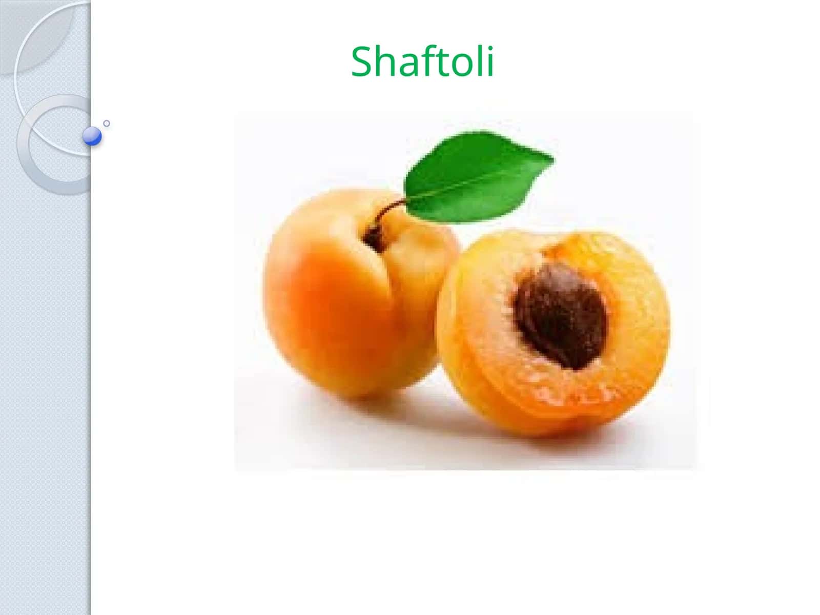 Shaftoli 1