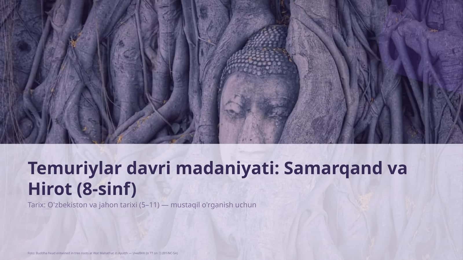 Temuriylar davri madaniyati: Samarqand va Hirot (8-sinf) 1