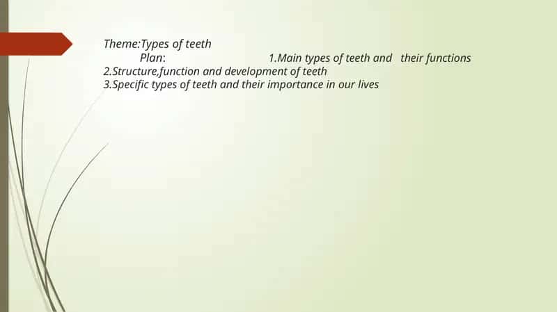 Types of Teeth 1