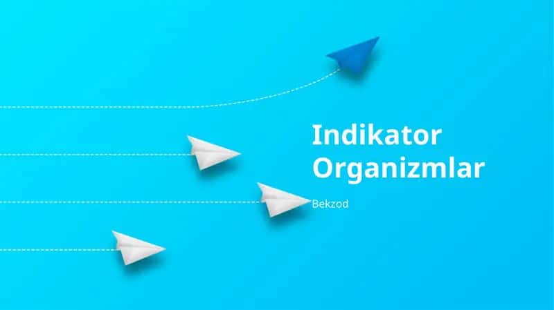 Indikator Organizmlar 1