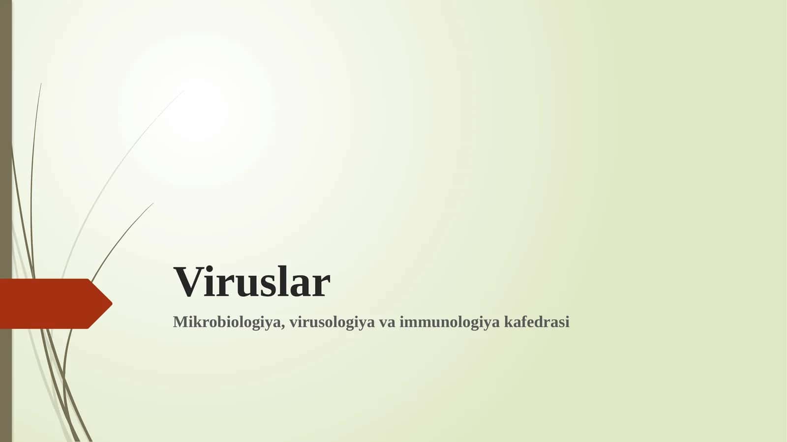 Viruslar 1