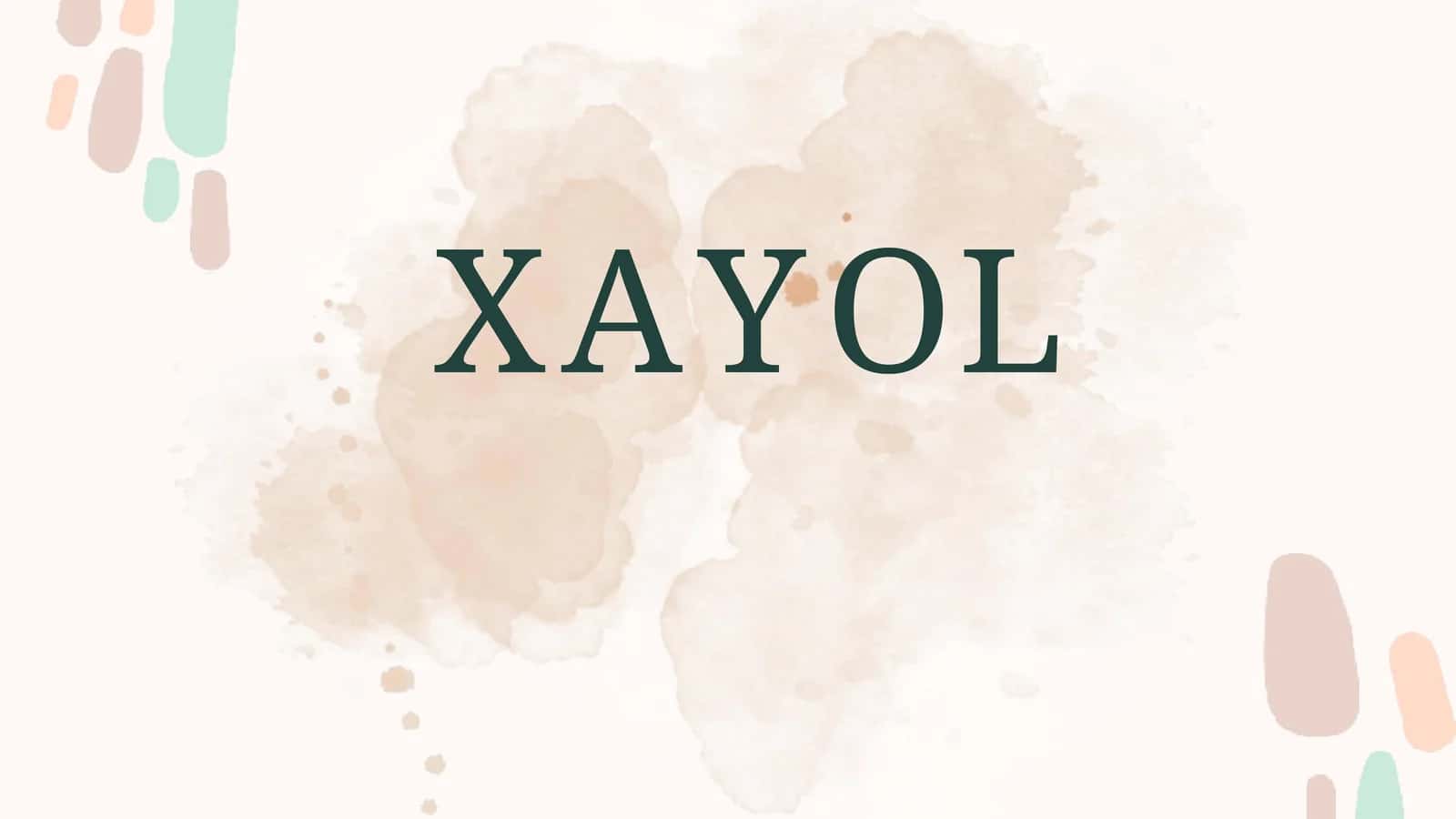 XAYOL 1