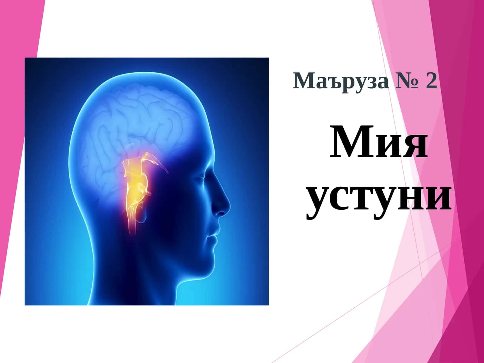Мия устуни 1