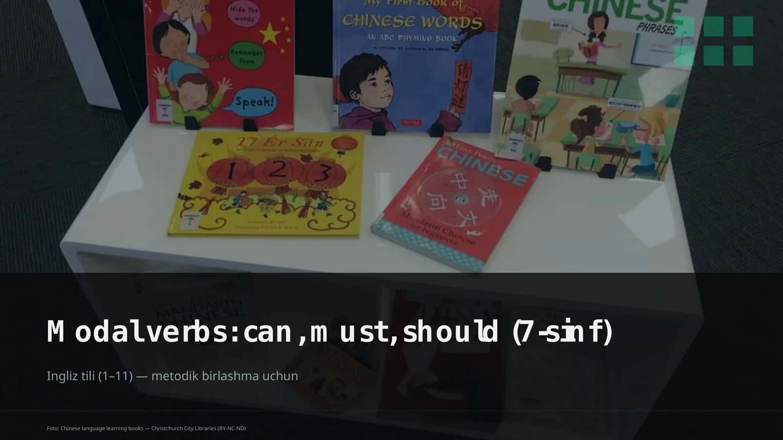 Modal verbs: can, must, should (7-sinf) 1