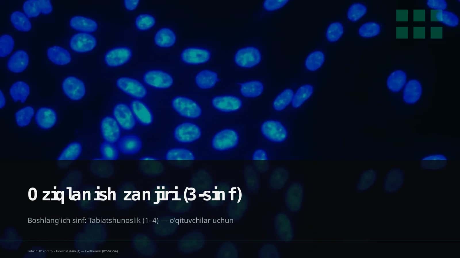 Oziqlanish zanjiri (3-sinf) 1