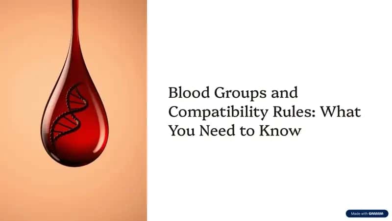 Blood-Groups-and-Compatibility-Rules-What-You-Need-to-Know 1