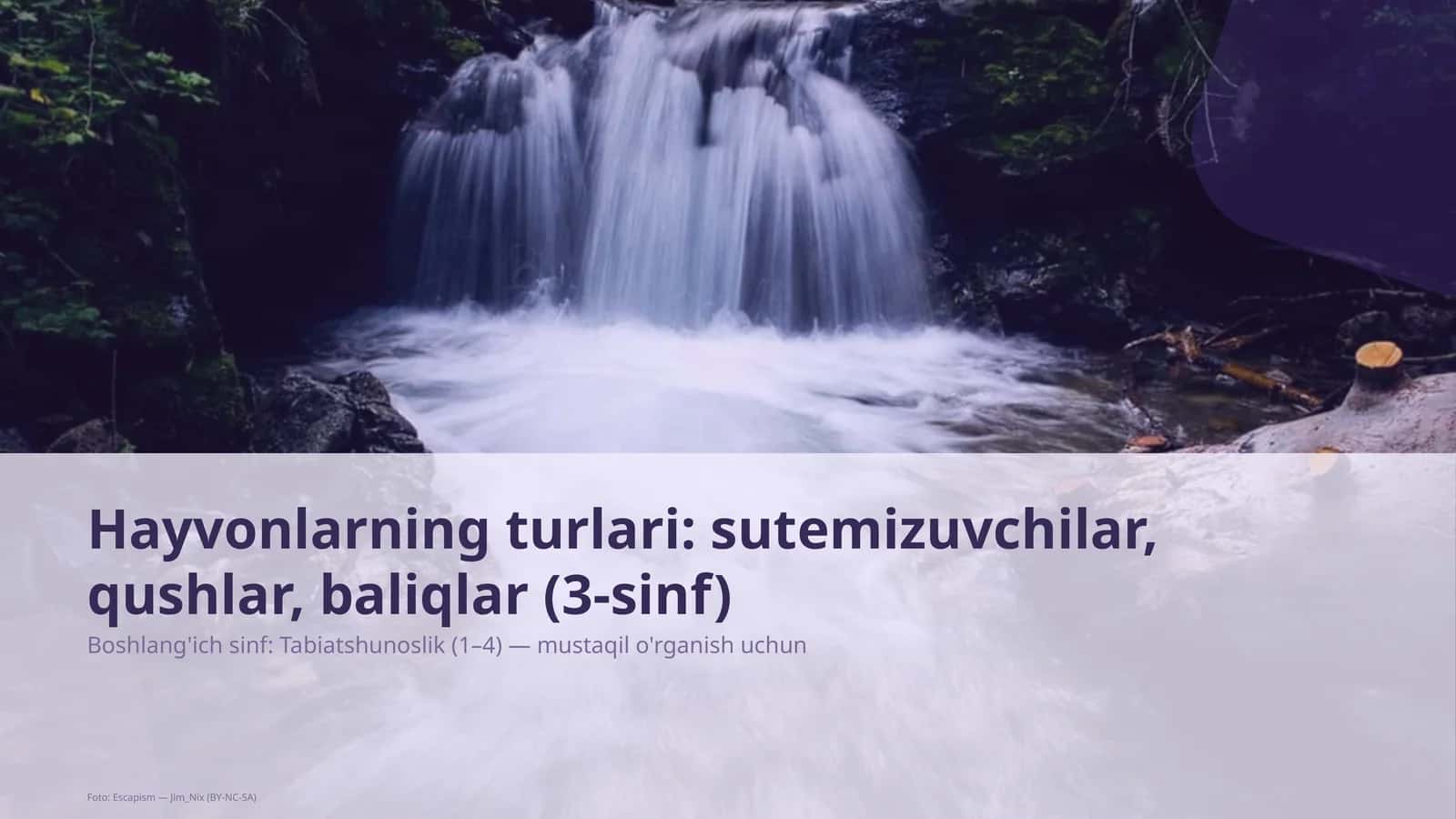 Tabiatshunoslik 1