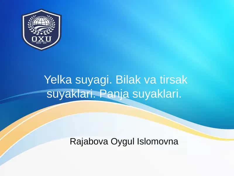 Yelka suyagi 1