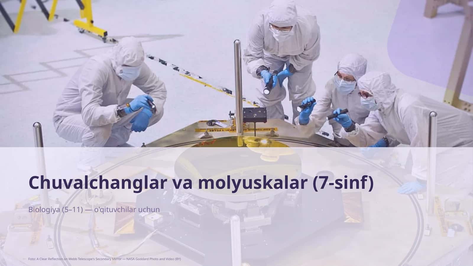 Chuvalchanglar va molyuskalar (7-sinf) 1
