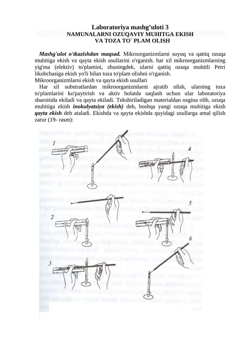 Laboratoriya mashg’uloti 3 1