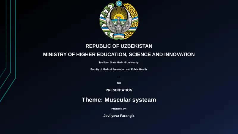 Muscular system 1