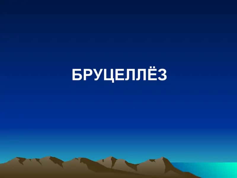 Бруцеллёз 1