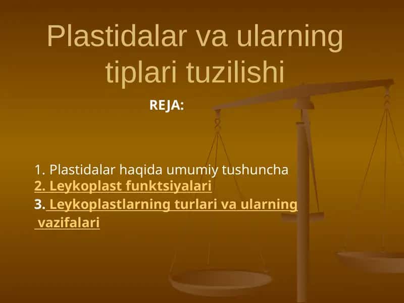 Plastidalar va ularning tiplari tuzilishi 1