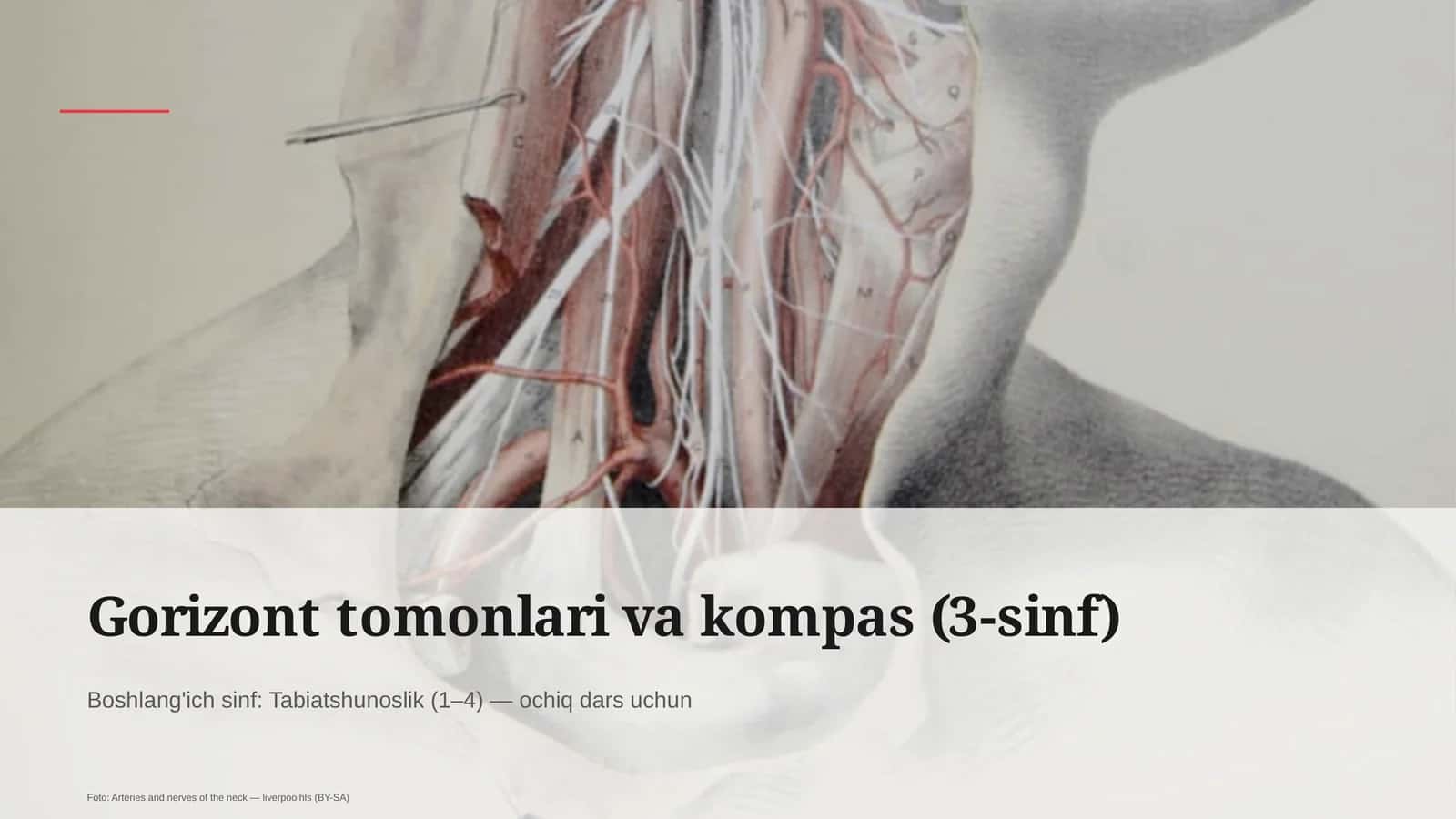 Gorizont tomonlari va kompas (3-sinf) 1