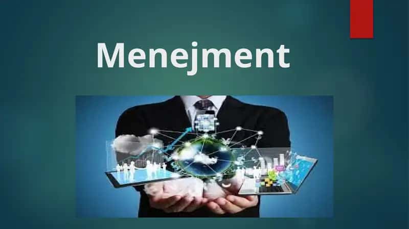 Menejment 1