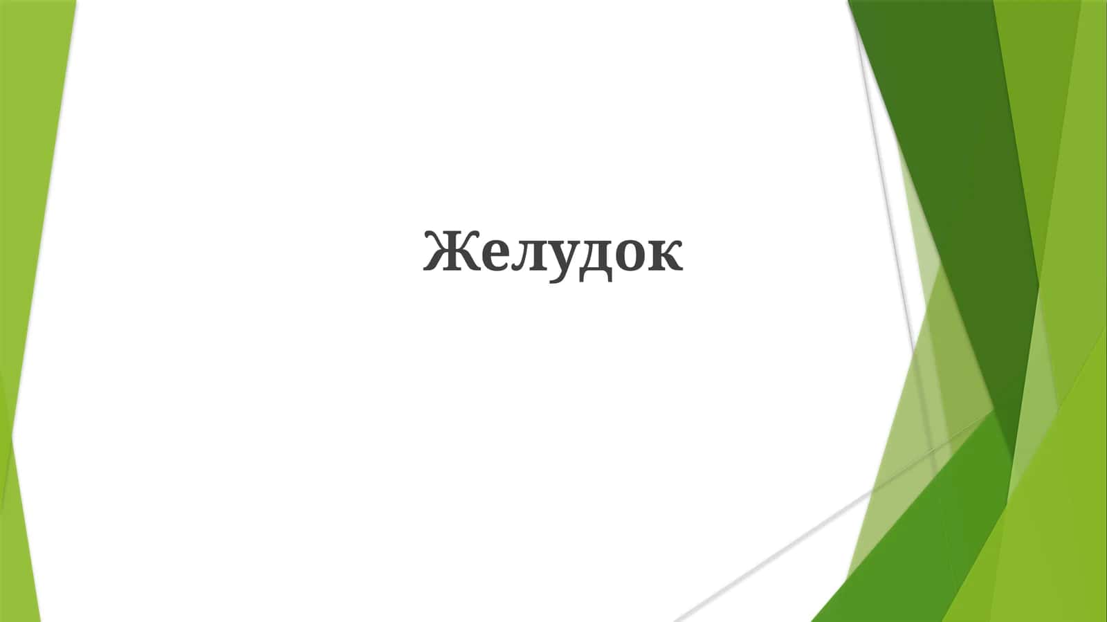 Желудок 1