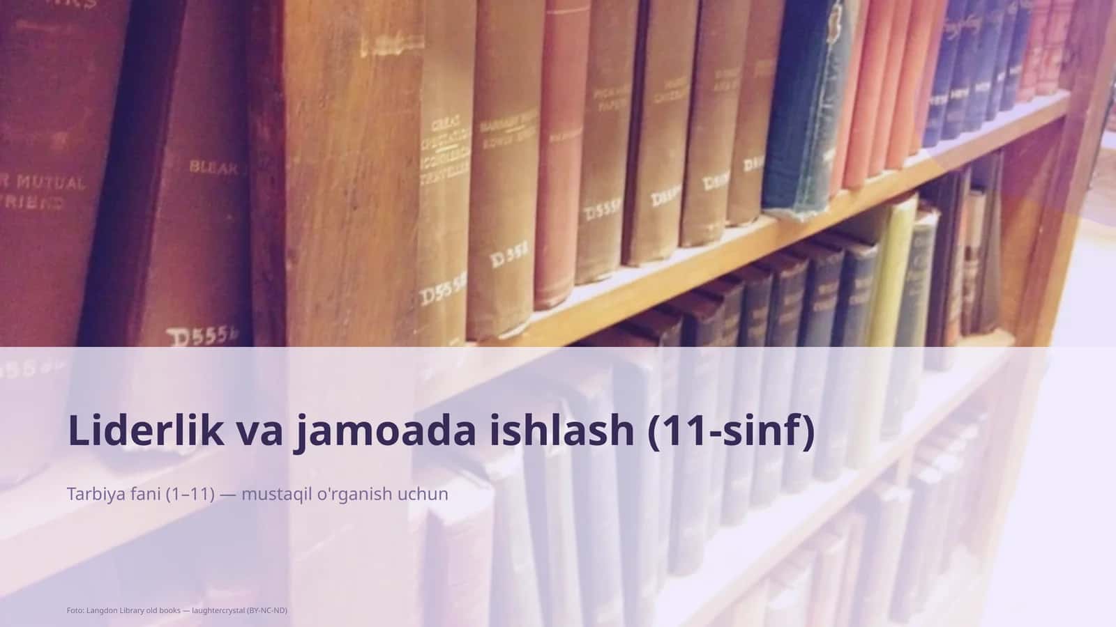 Liderlik va jamoada ishlash (11-sinf) 1
