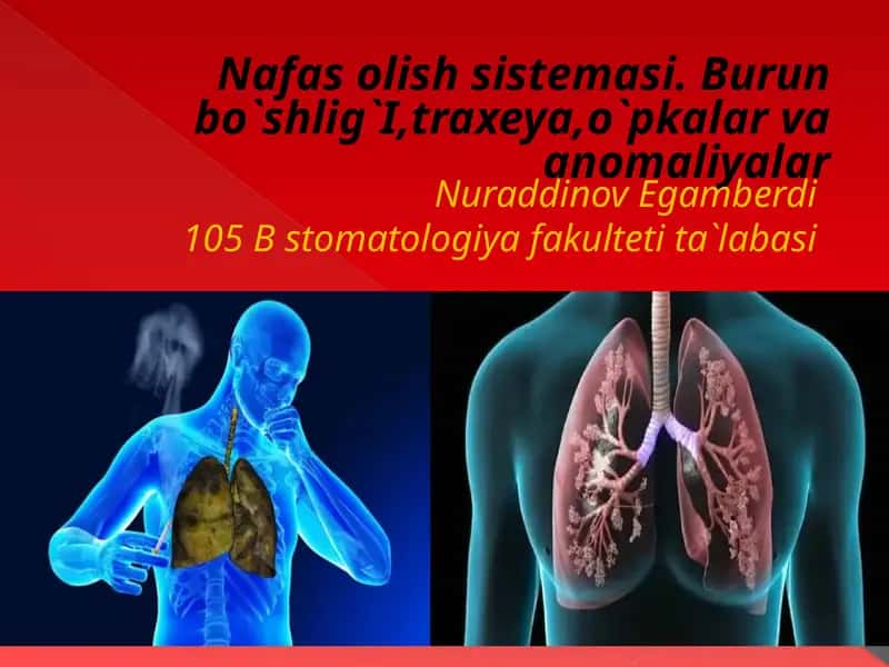 Nafas olish sistemasi 1