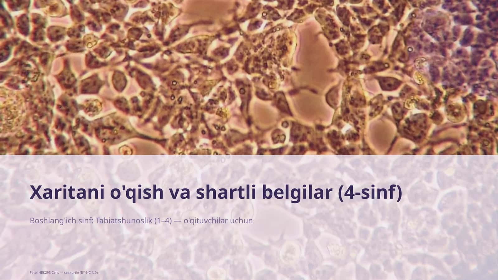 Xaritani o'qish va shartli belgilar (4-sinf) 1