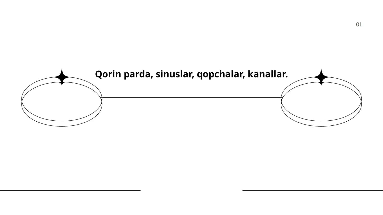 Qorin pardasi anatomiyasi 1