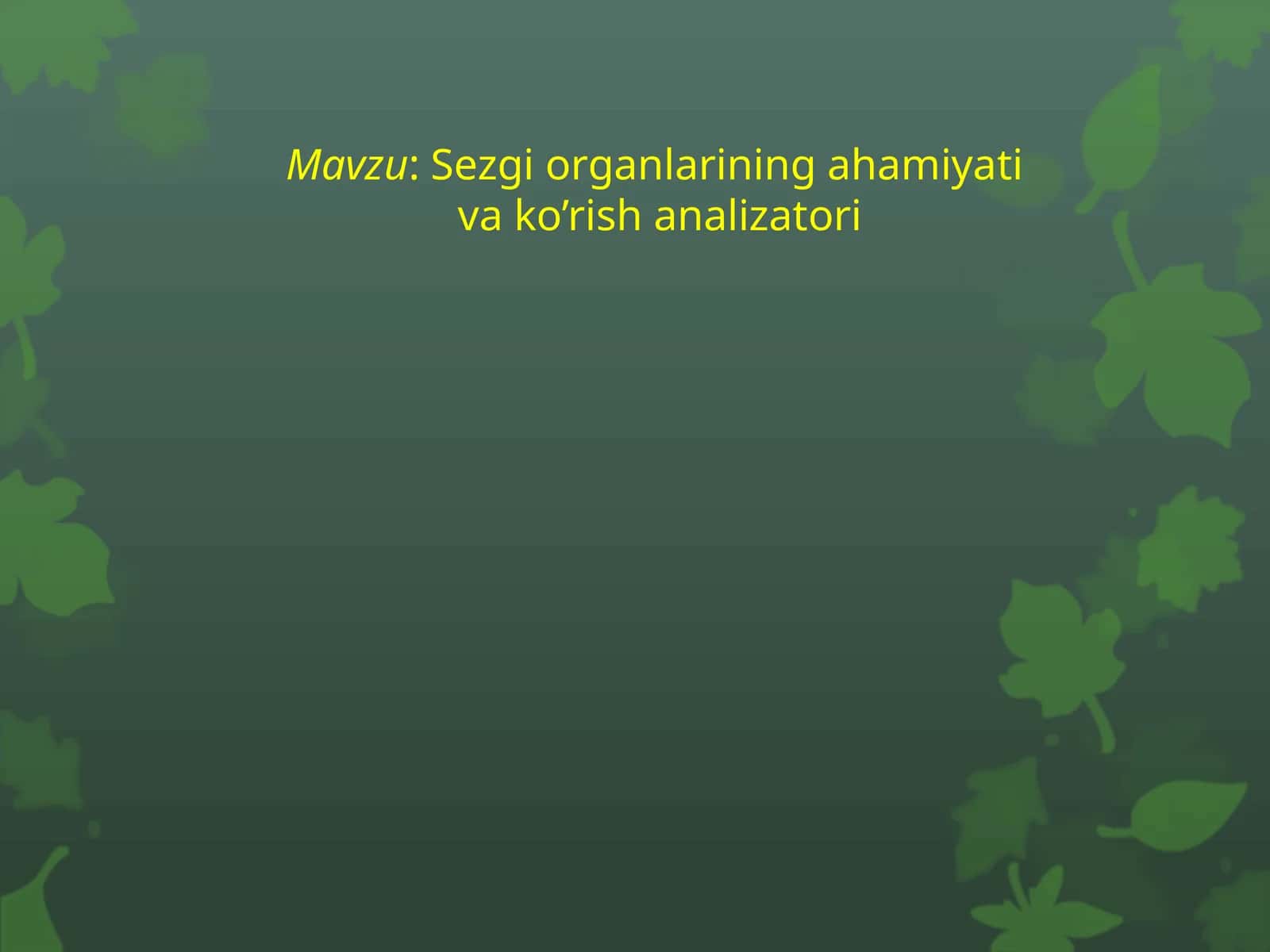 ANALIZATOR 1