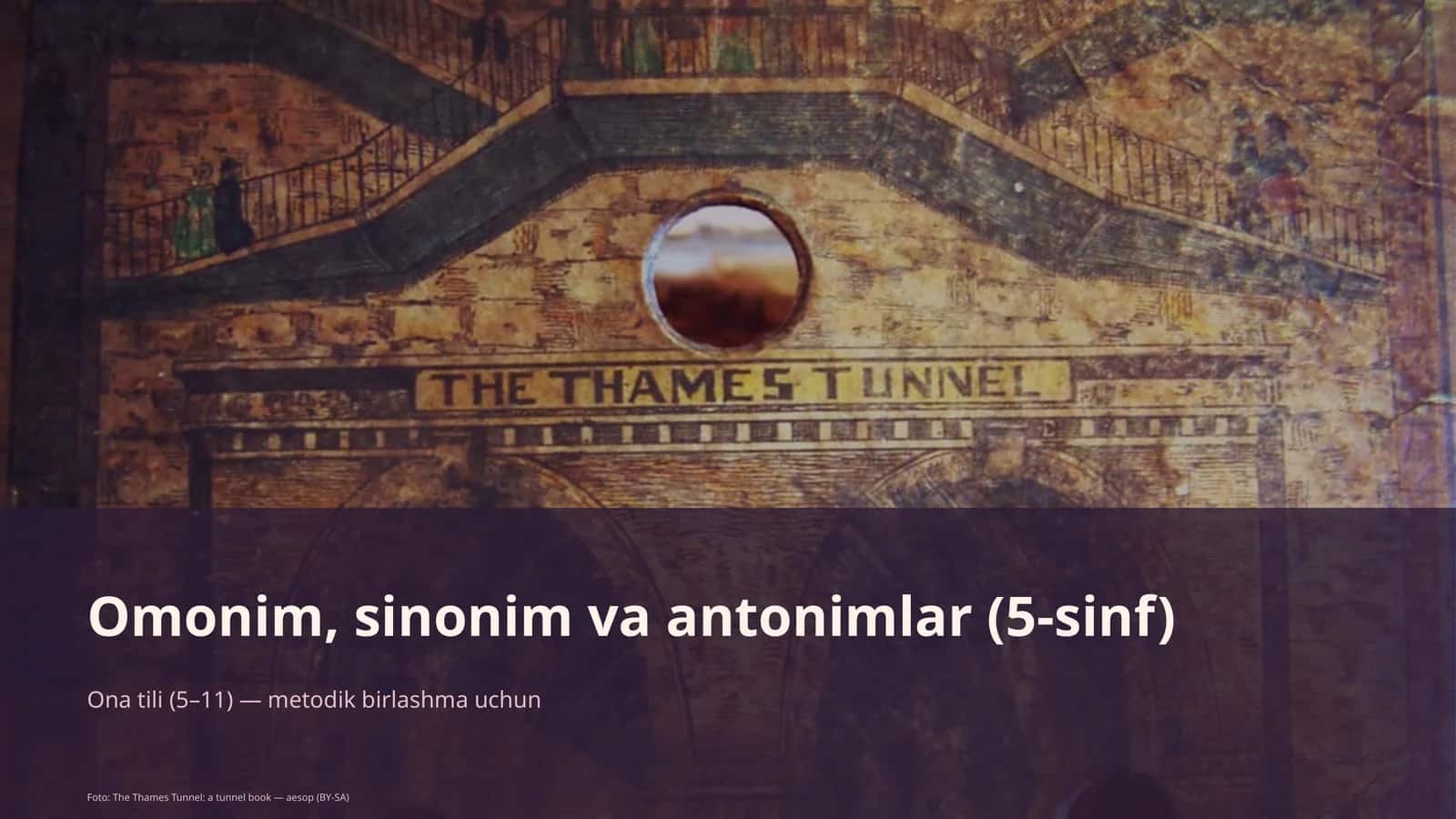Omonim, sinonim va antonimlar (5-sinf) 1
