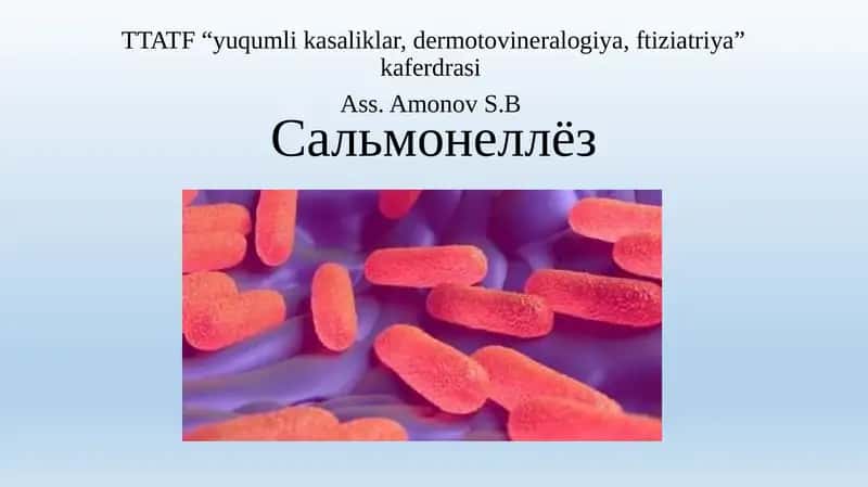 Сальмонеллёз 1