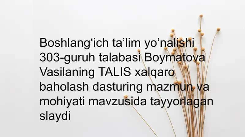 TALIS xalqarobaholash dasturi 1