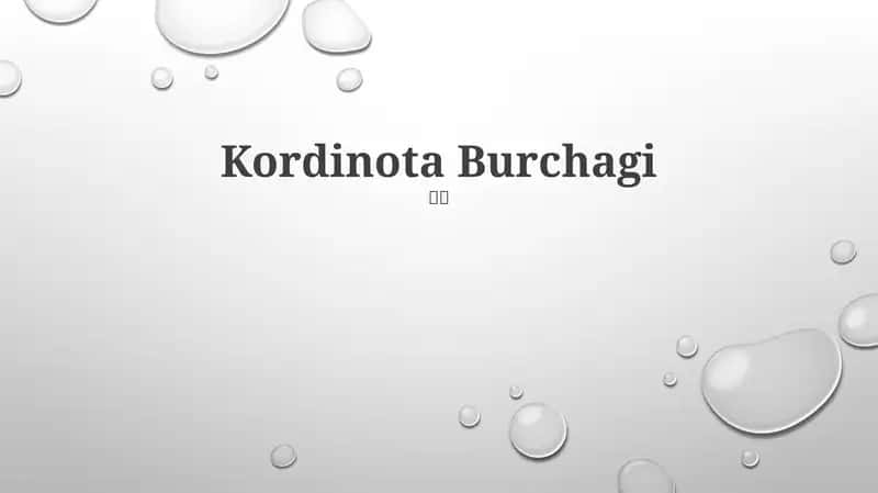Koordinata Burchagi 1