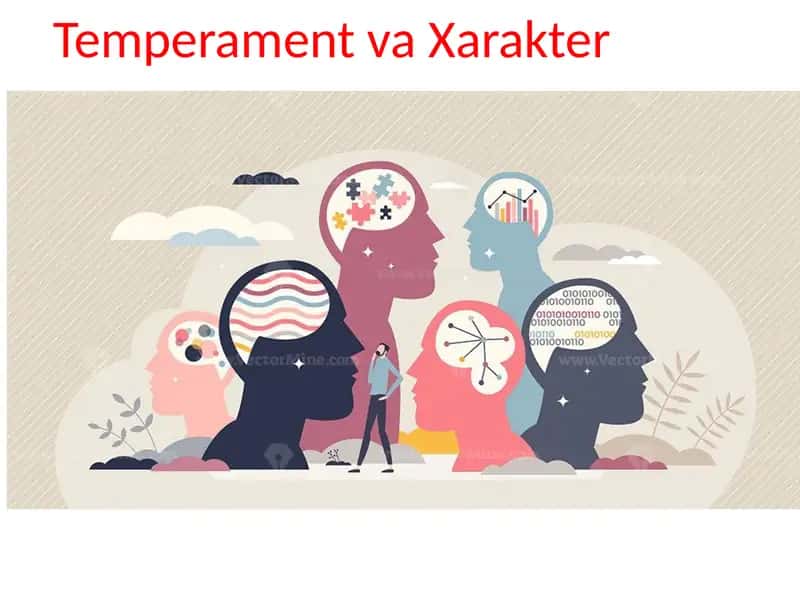 Temperament va xarakter haqida maʼlumot 1