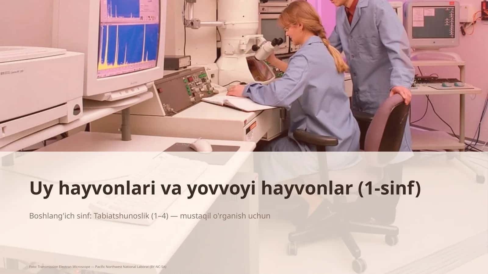 Uy hayvonlari va yovvoyi hayvonlar (1-sinf) 1