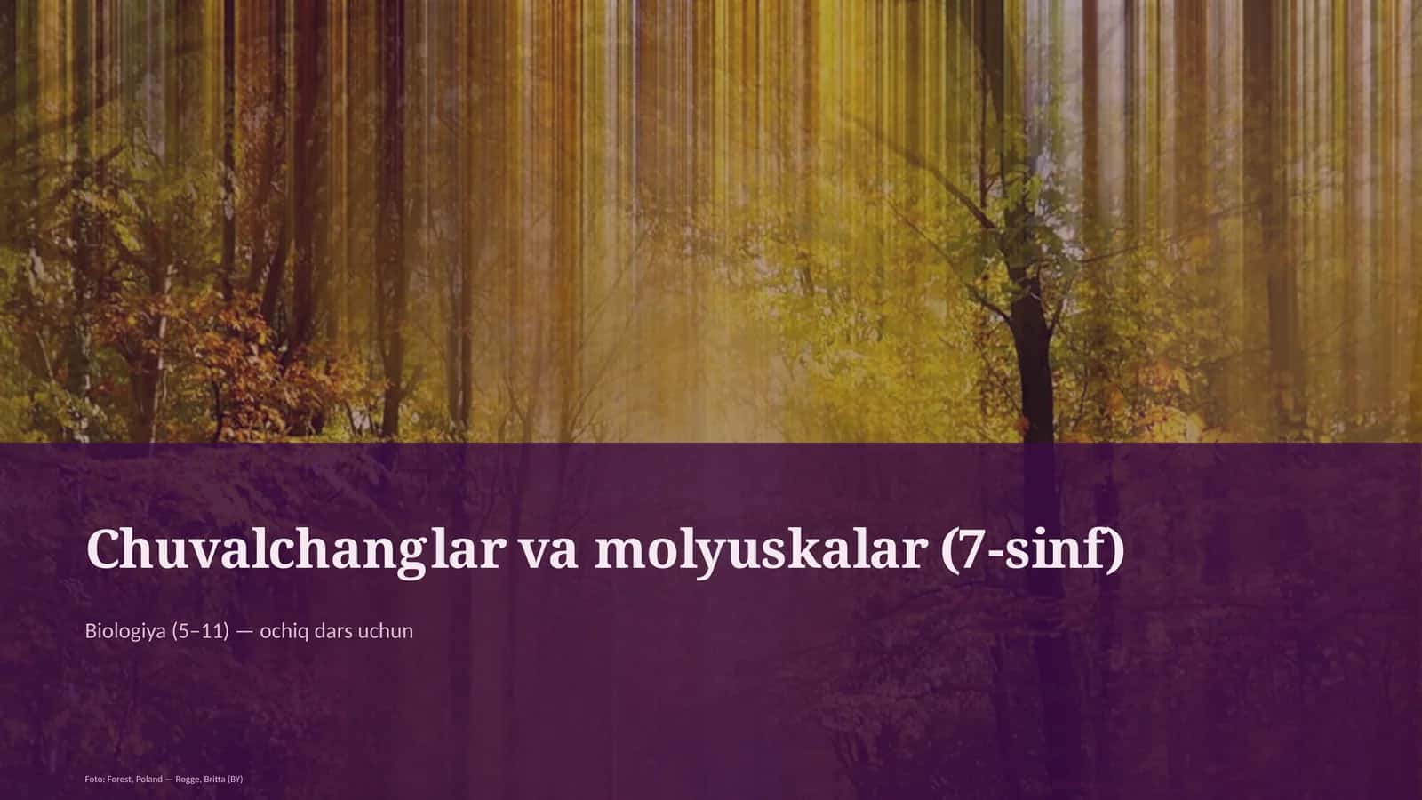 Chuvalchanglar va molyuskalar (7-sinf) 1