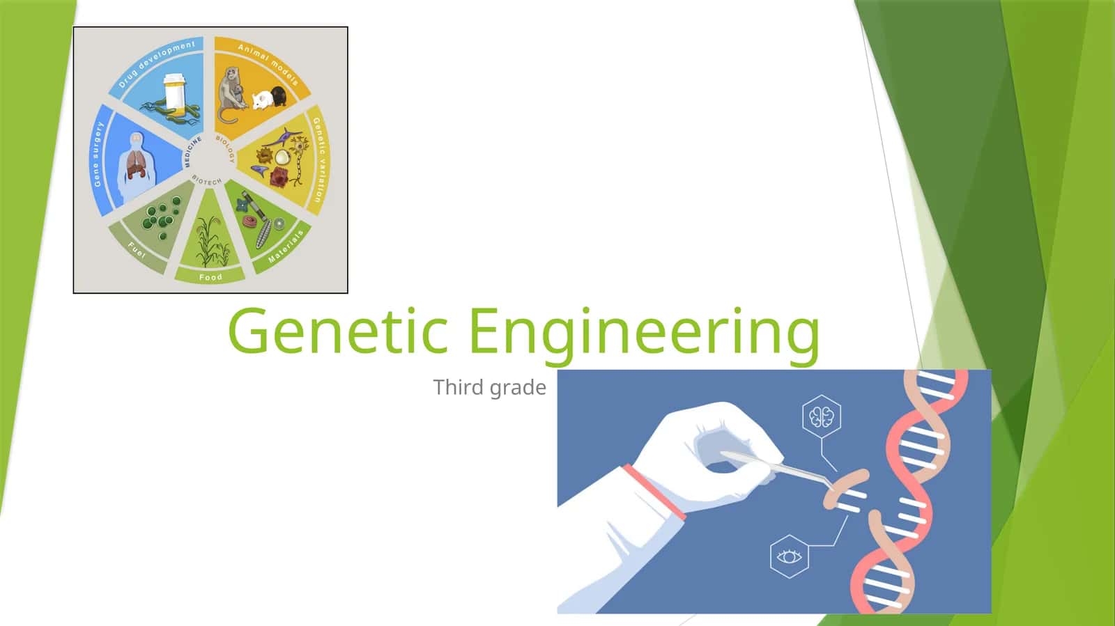 Genetic Engineering 1