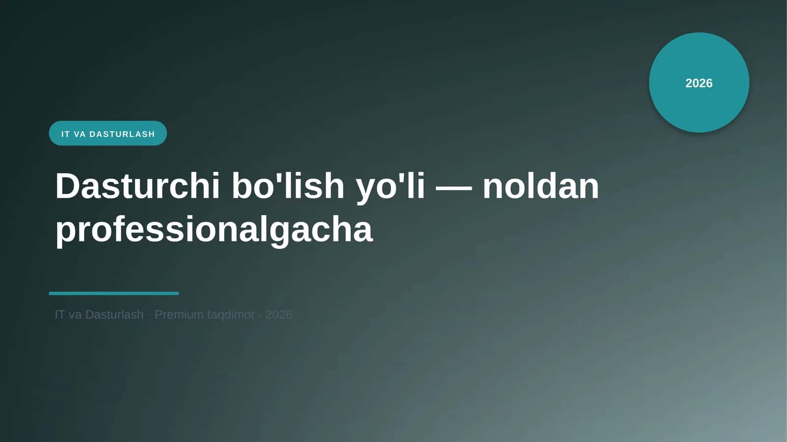 Dasturchi bo'lish yo'li — noldan professionalgacha 1