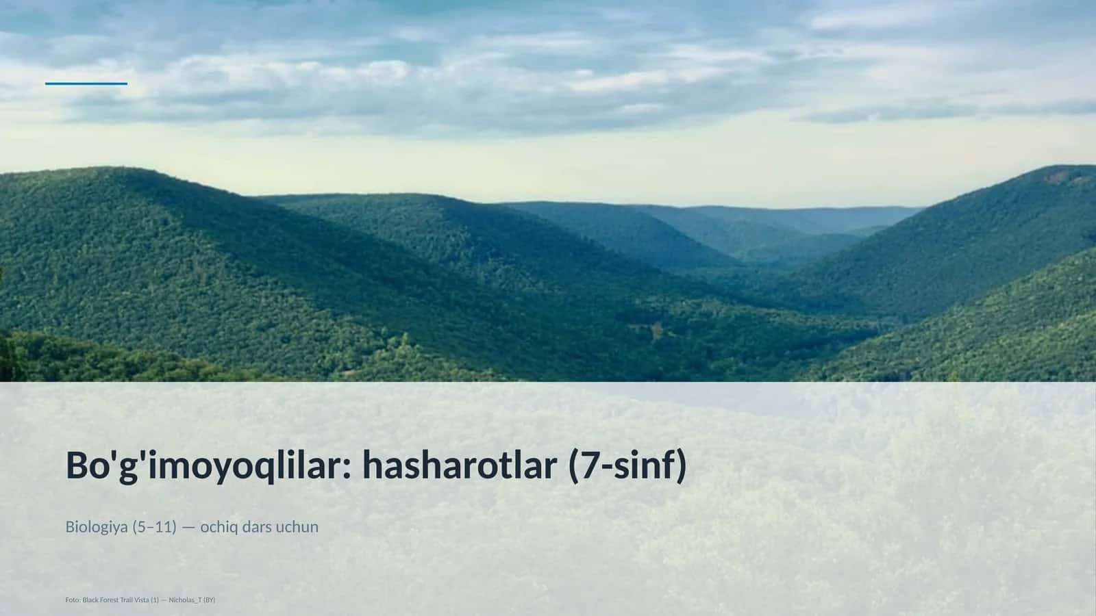 Bo'g'imoyoqlilar: hasharotlar (7-sinf) 1