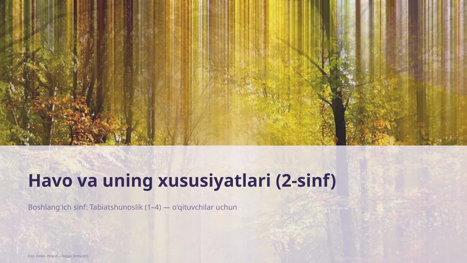 Havo va uning xususiyatlari (2-sinf) 1