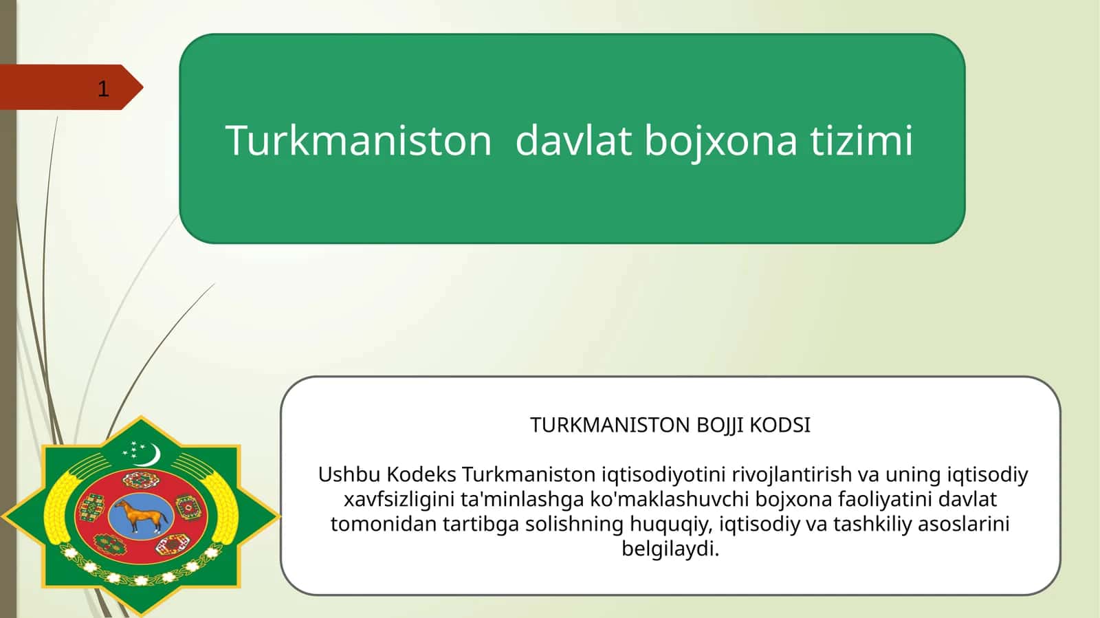 Turkmaniston davlat bojxona tizim 1