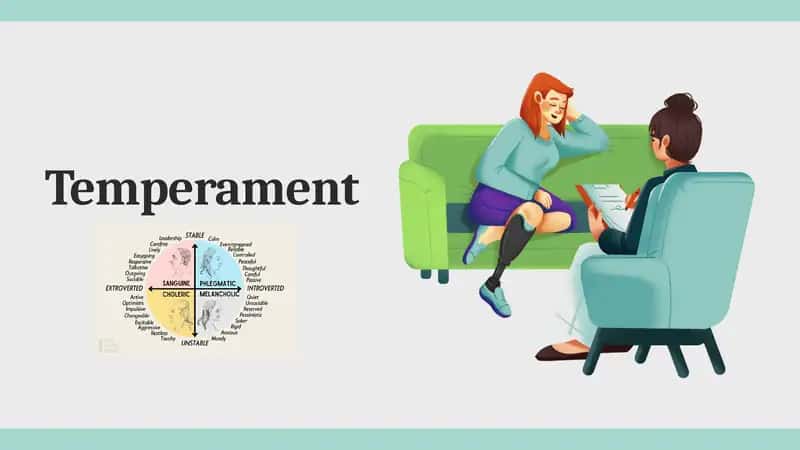 Temperament 1