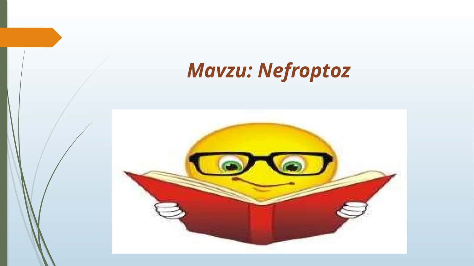 Nefroptoz 1