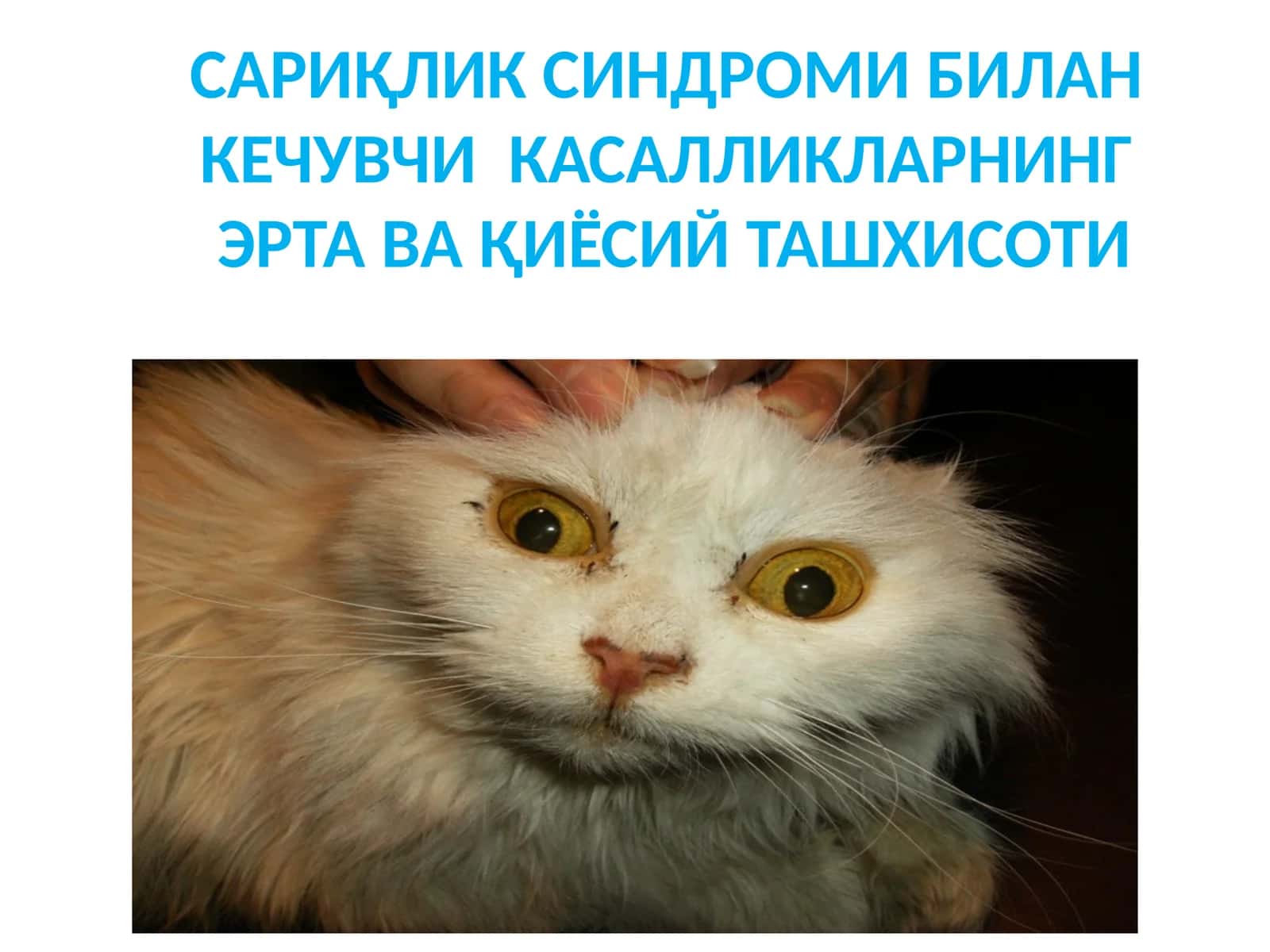 САРИҚЛИК СИНДРОМИ 1